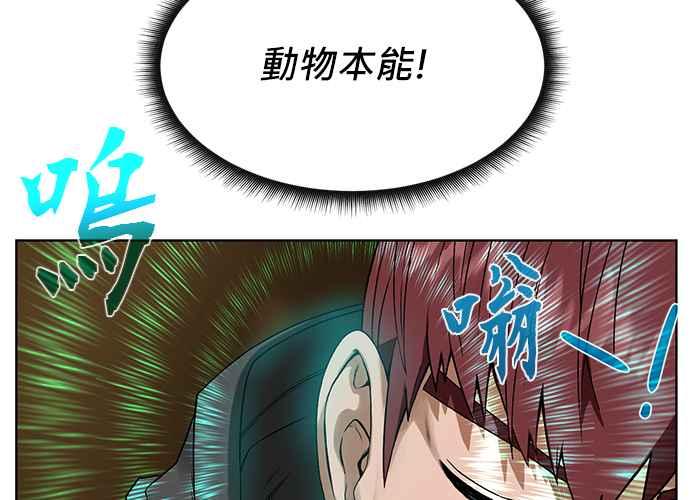 第204页