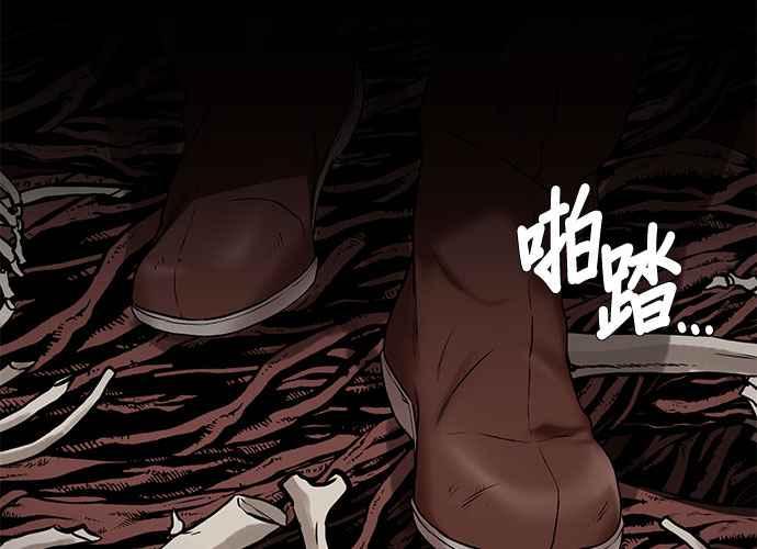 第215页