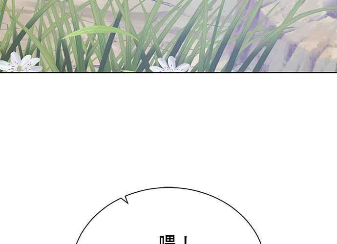 第223页