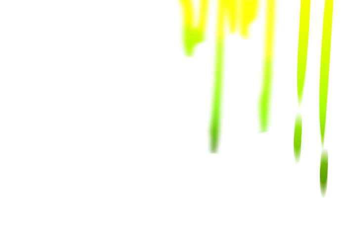 第216页