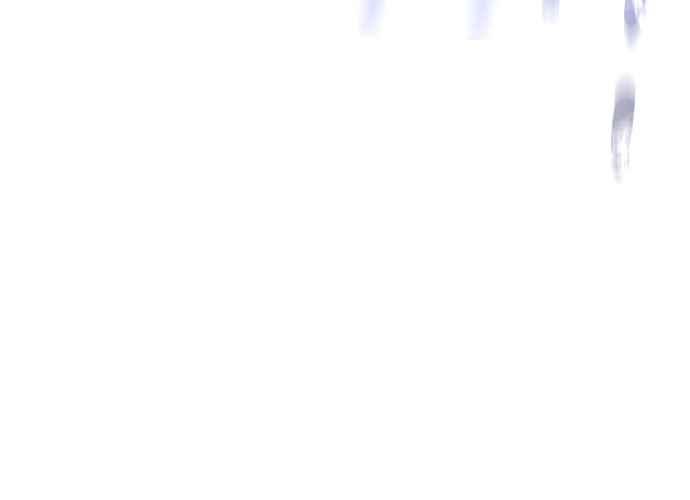 第215页