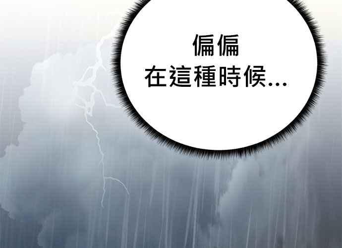 第231页