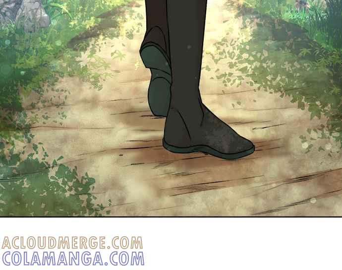 第229页
