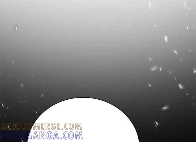 第229页