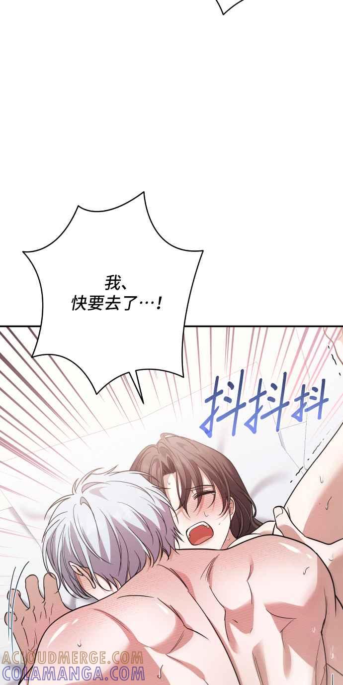 第231页