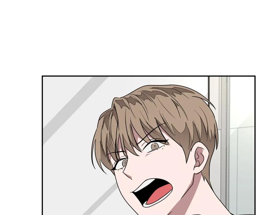 第223页