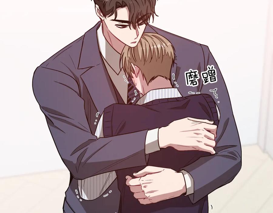 第204页