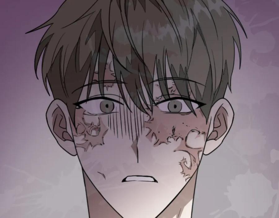 第240页
