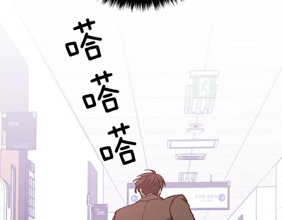 第204页