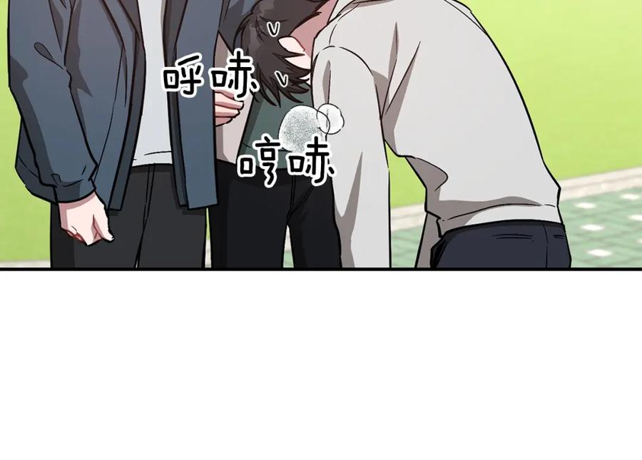 第202页