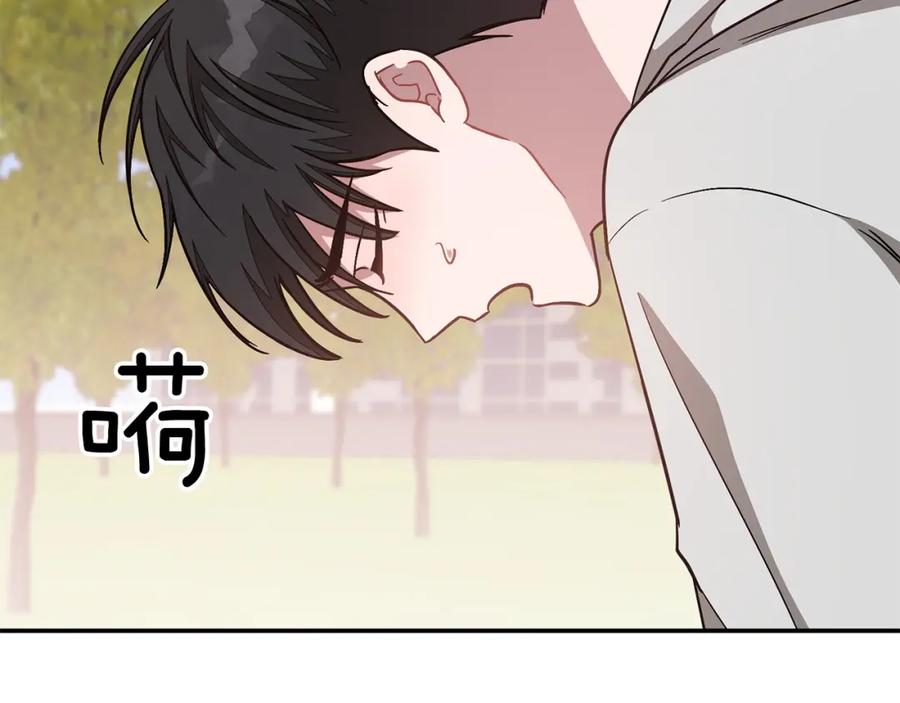 第204页