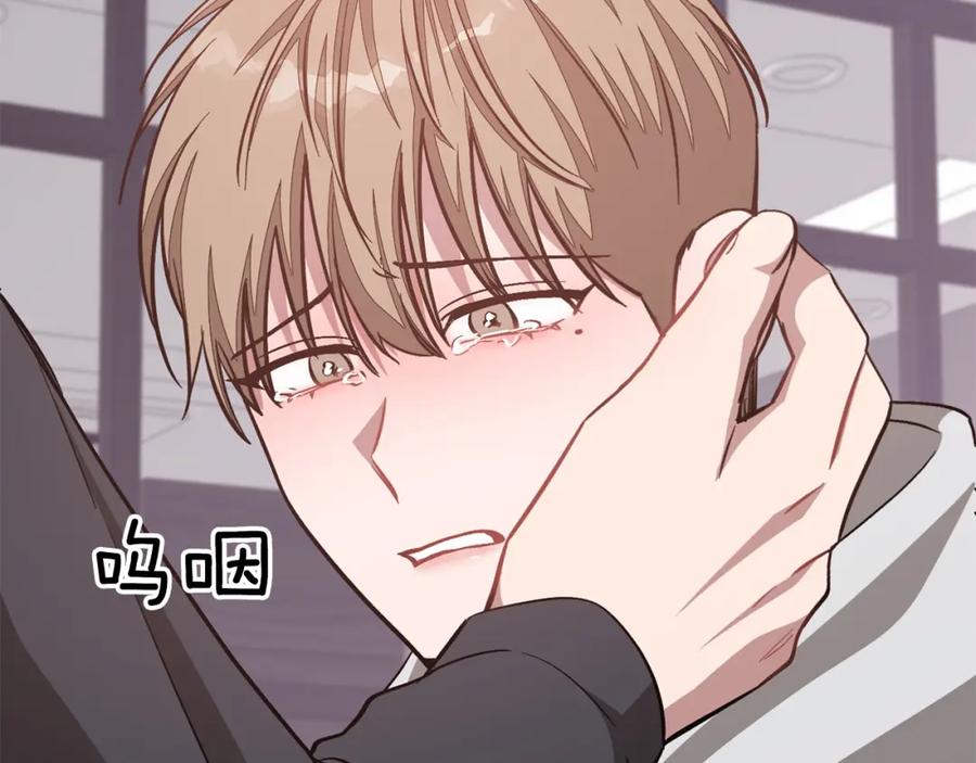 第216页
