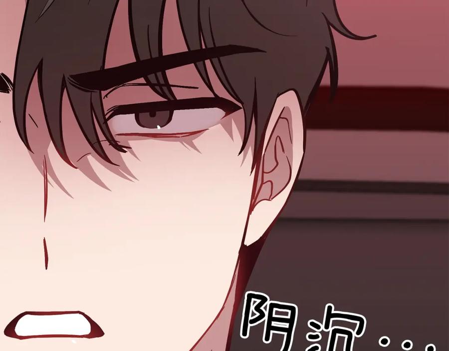 第223页