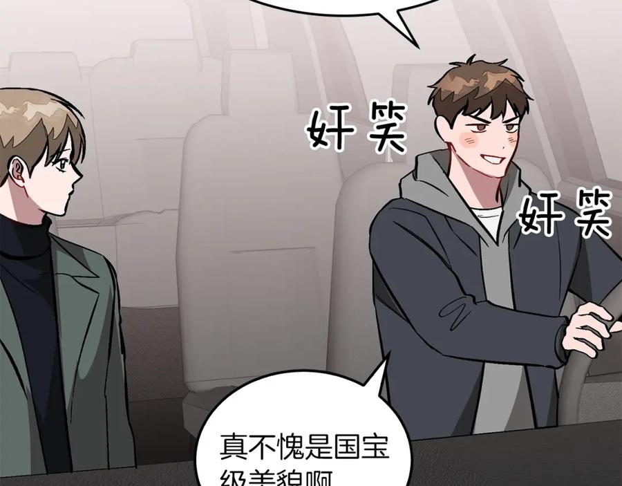 第184页