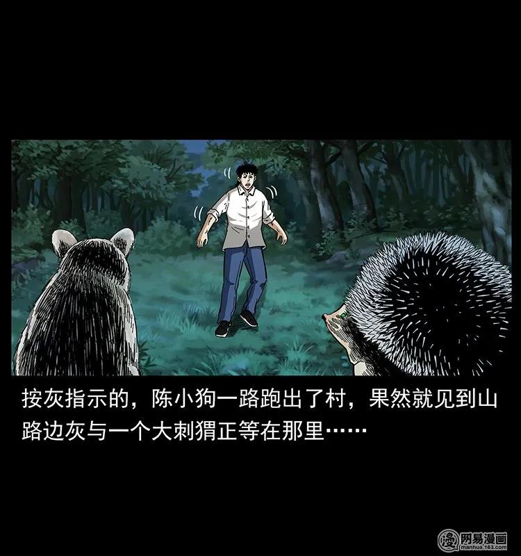 第51页