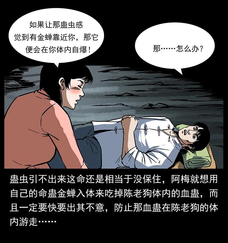 第55页