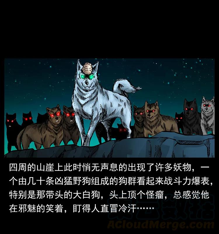 第85页