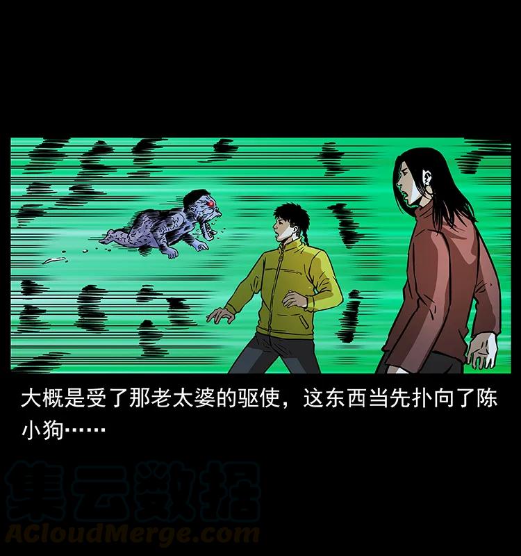 第81页