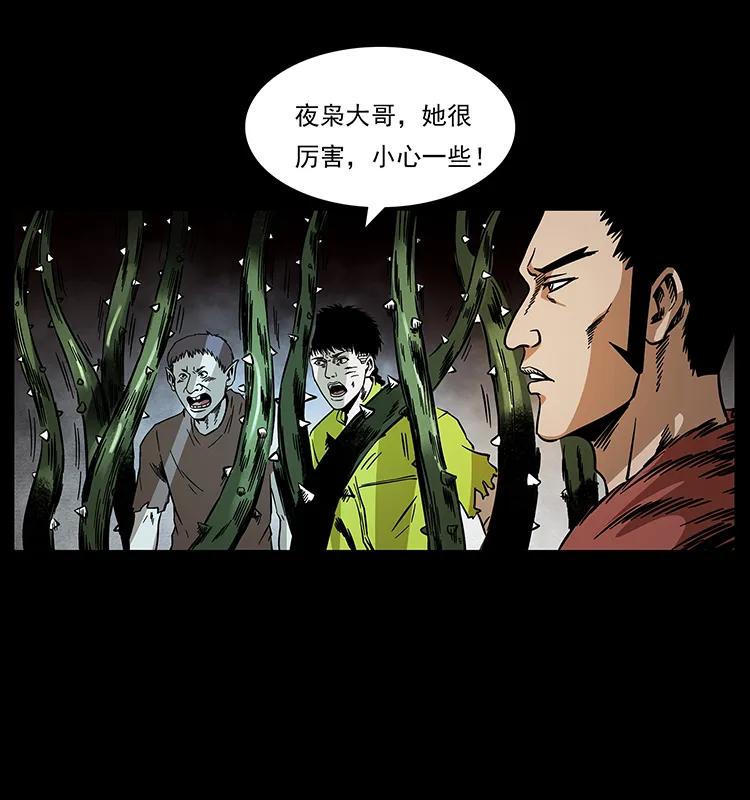 第47页