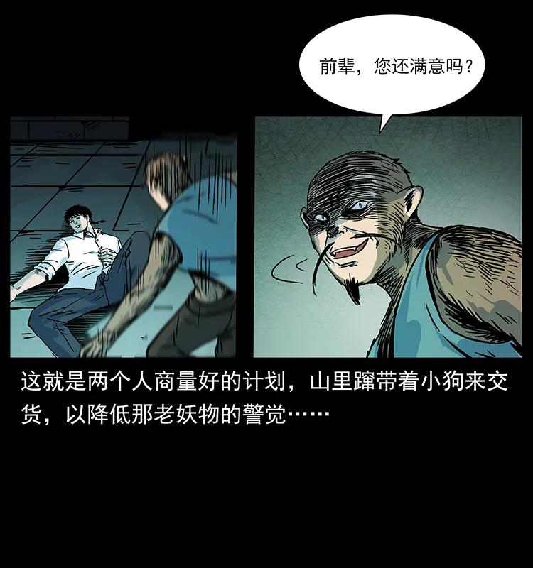 第56页