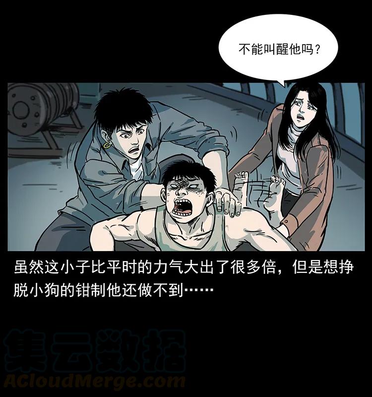 第53页