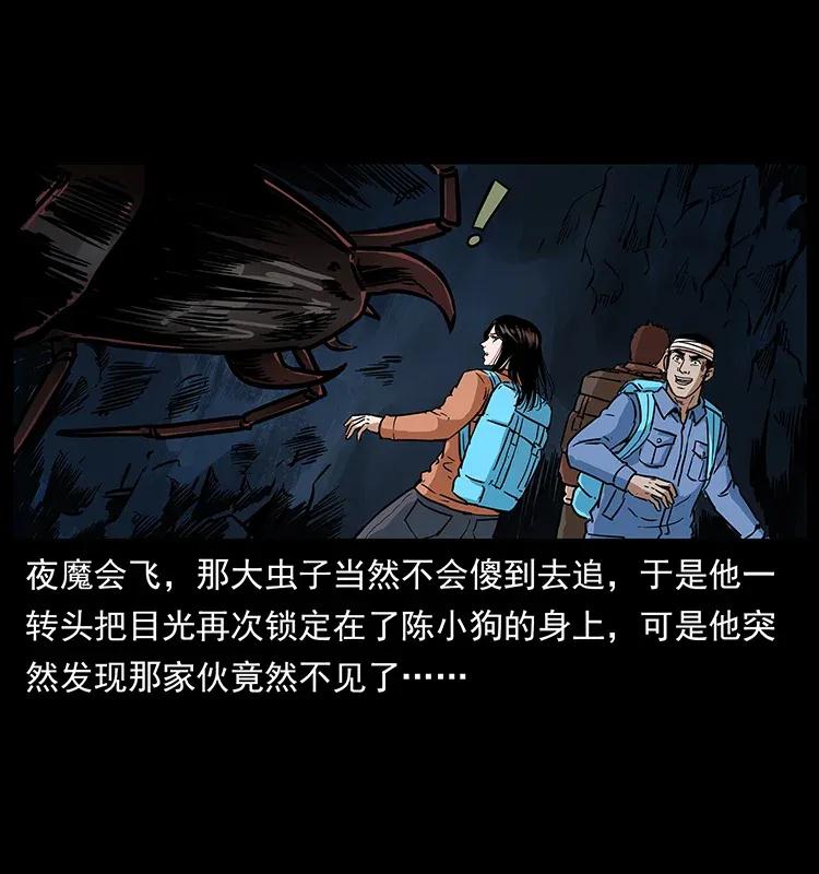 第48页