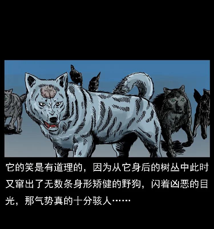第50页