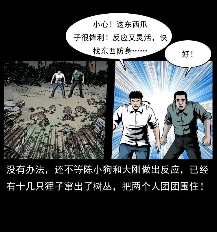 第47页