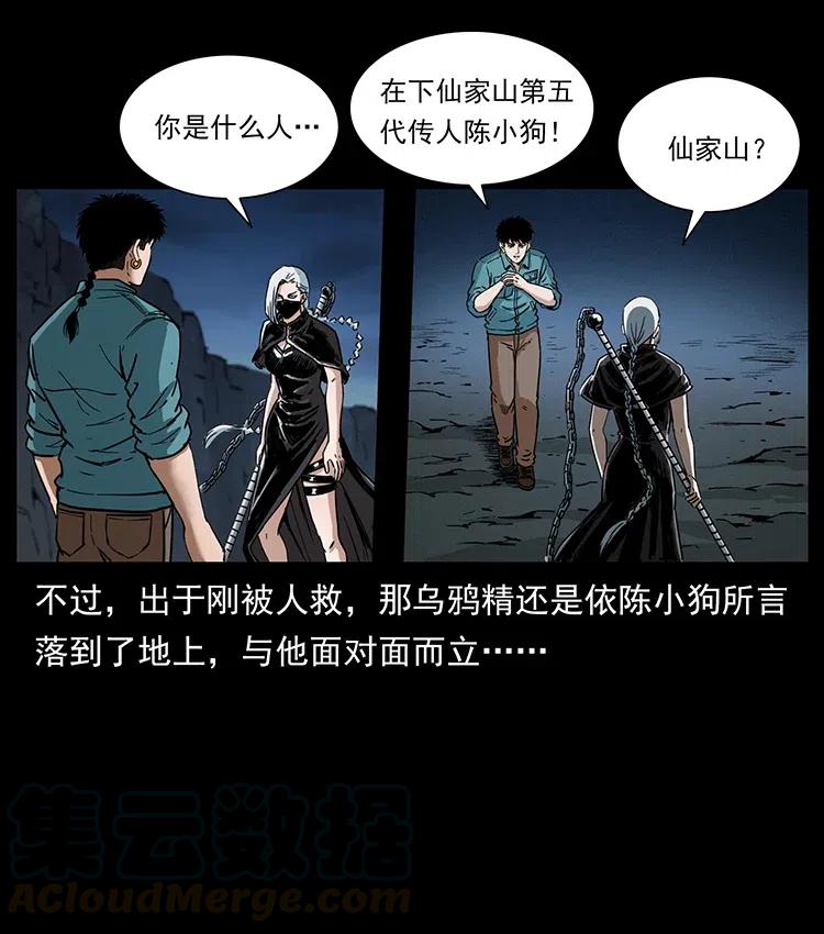 第55页
