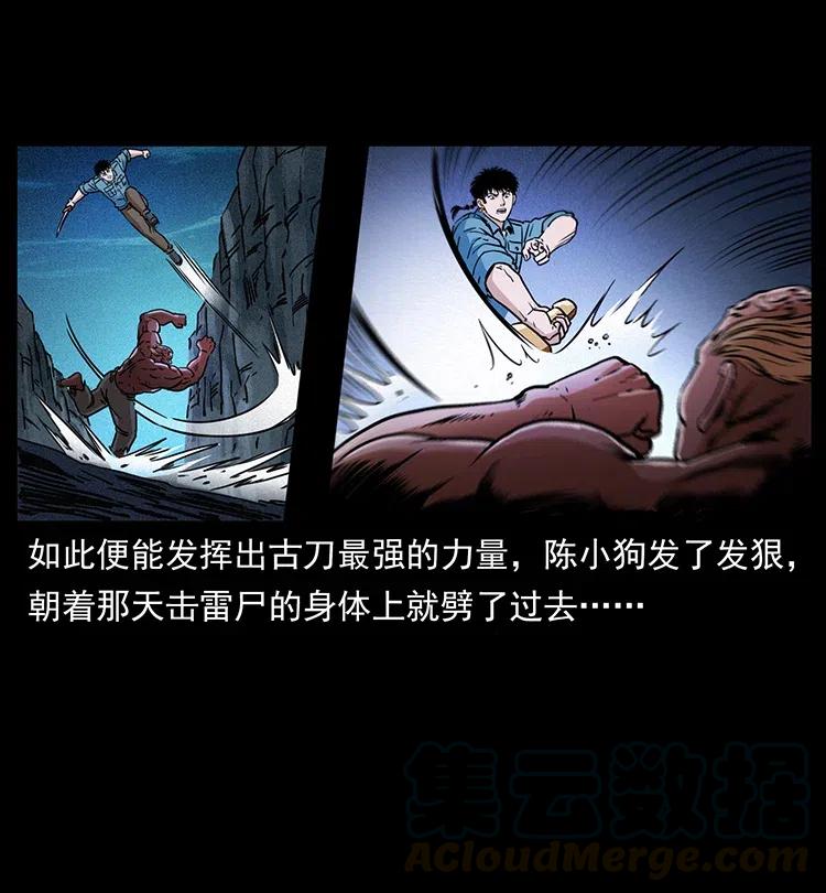 第55页