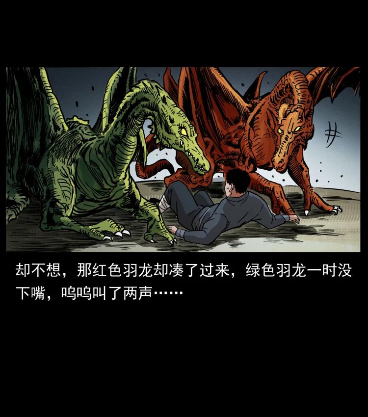 第65页