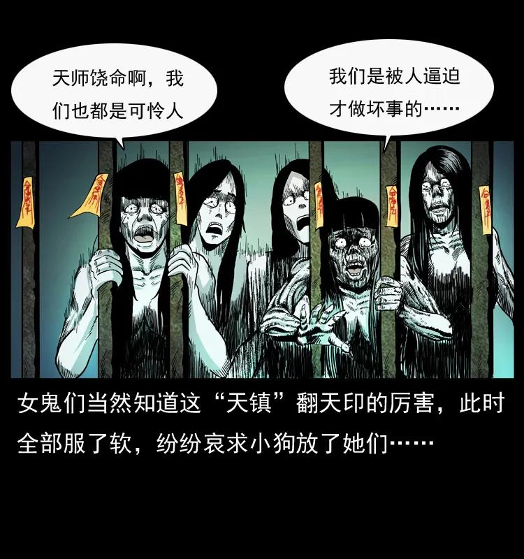 第55页