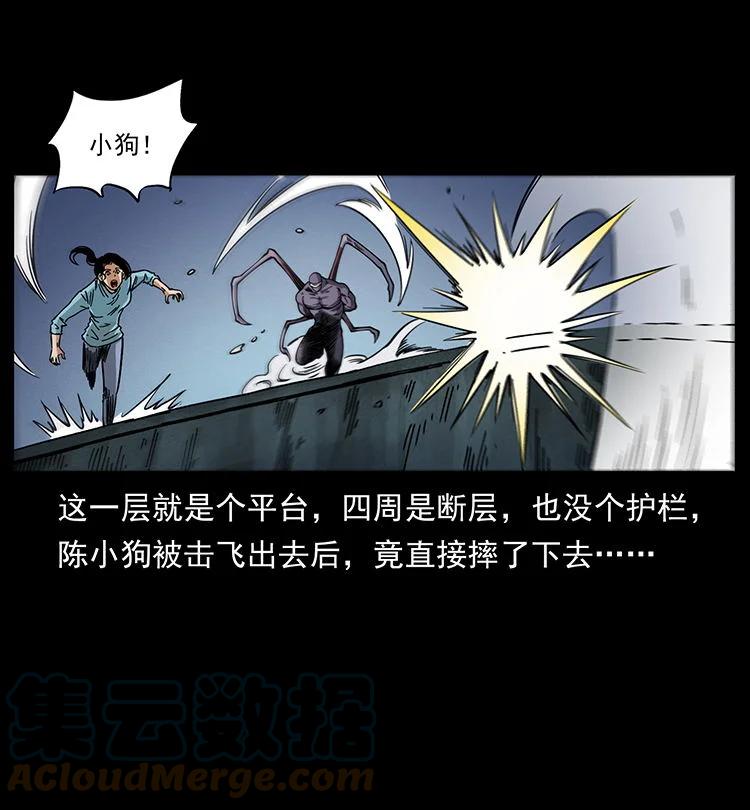 第43页