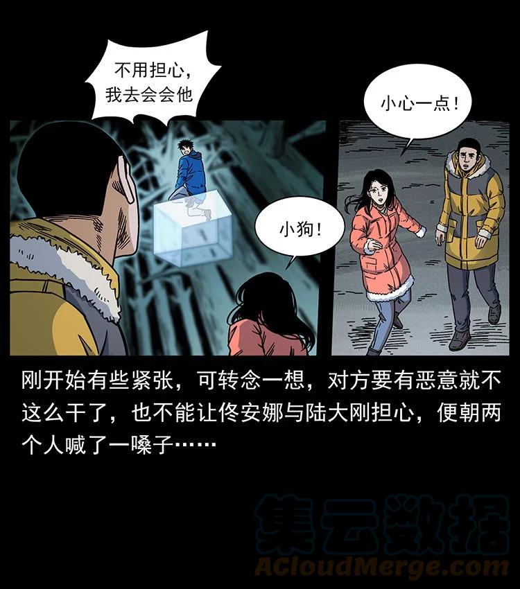 第49页