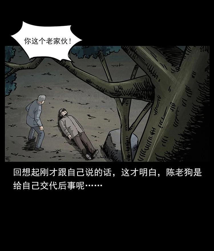 第259页