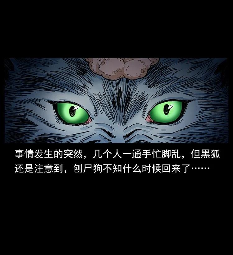 第256页