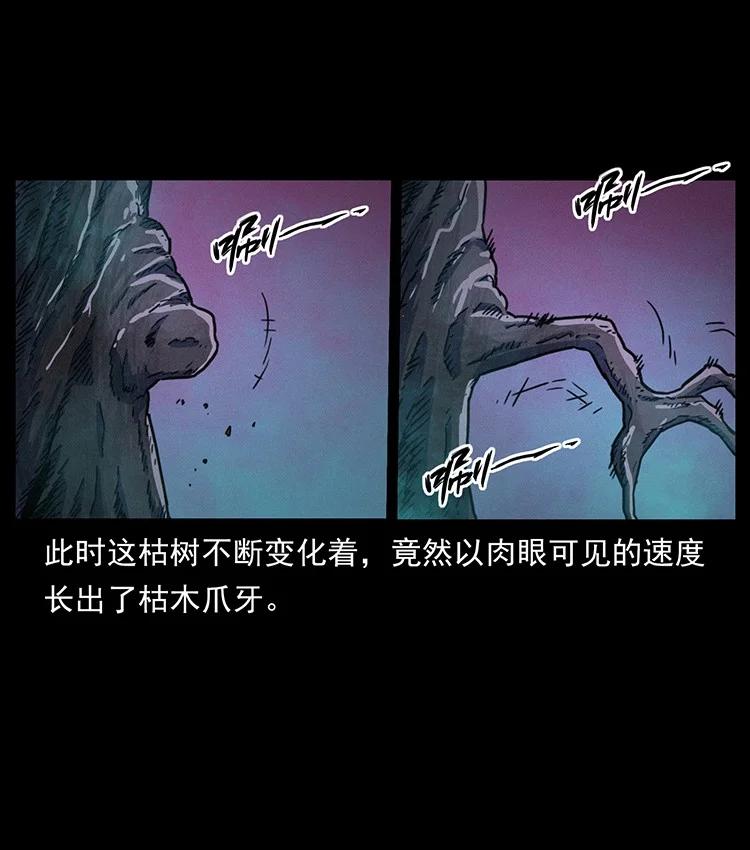 第166页