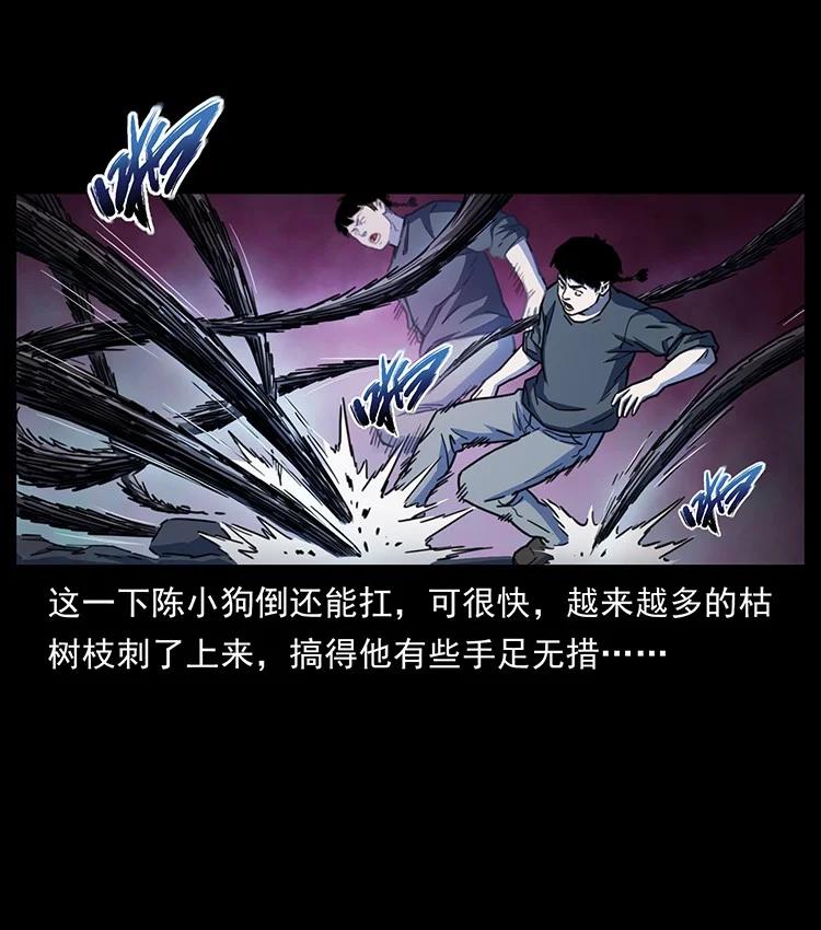 第181页