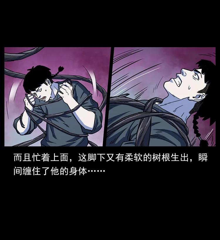 第184页