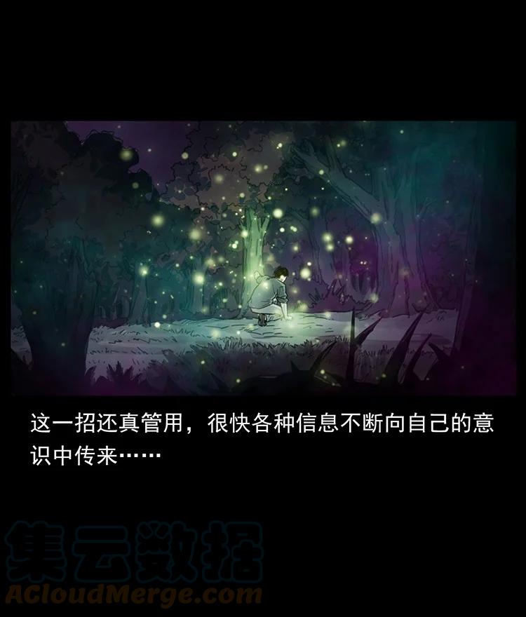 第259页
