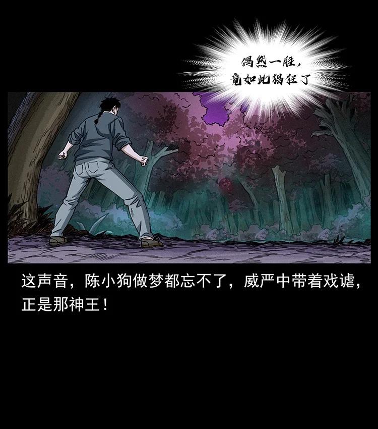 第211页