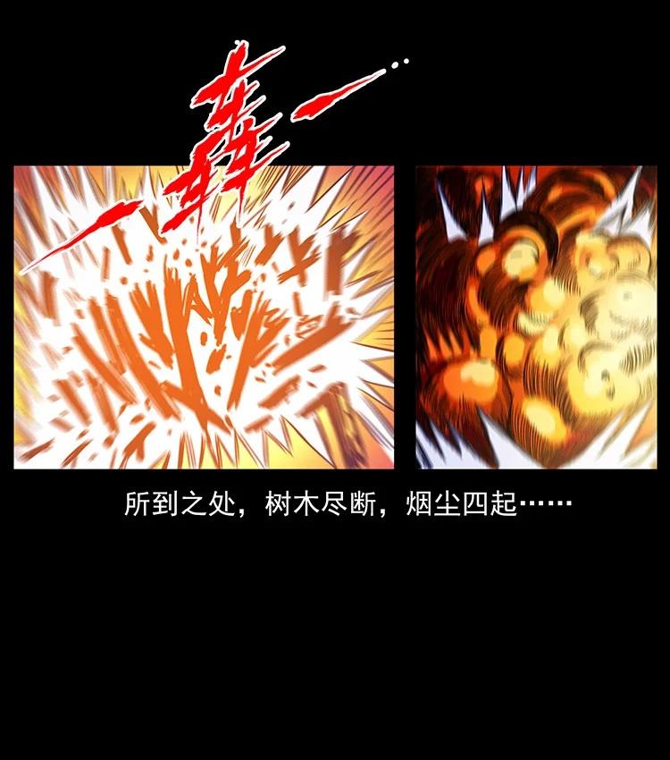 第229页