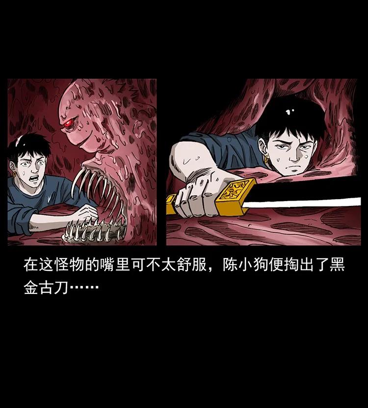 第196页