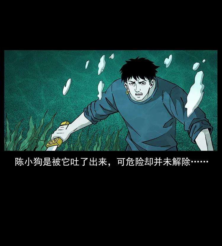 第202页