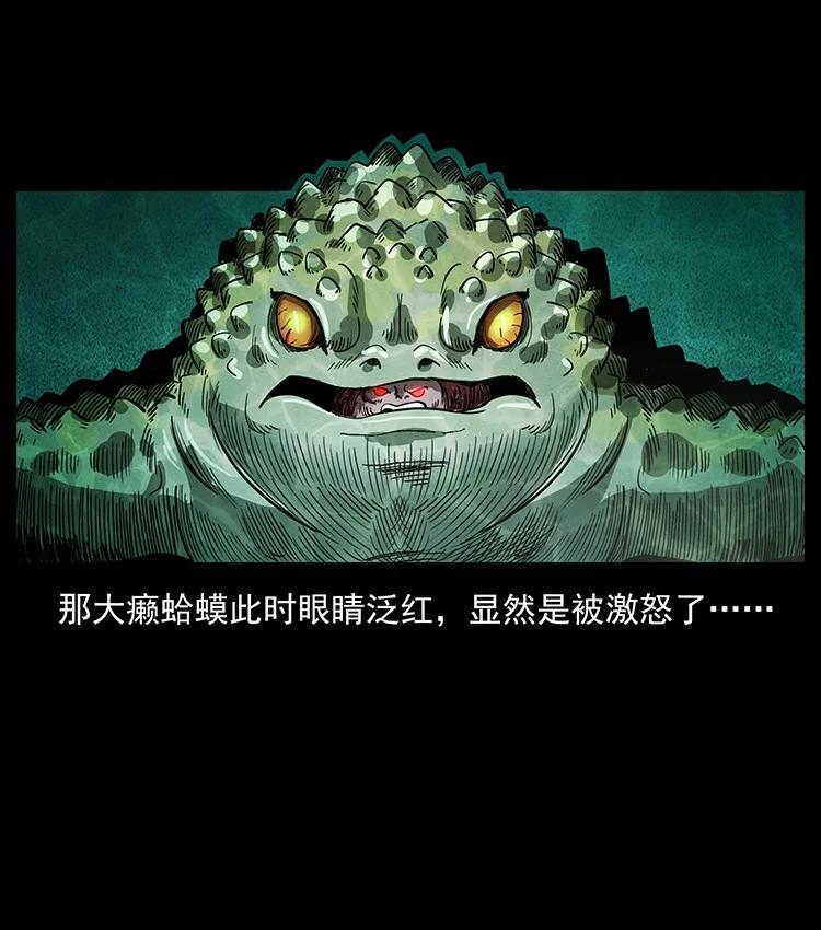 第205页