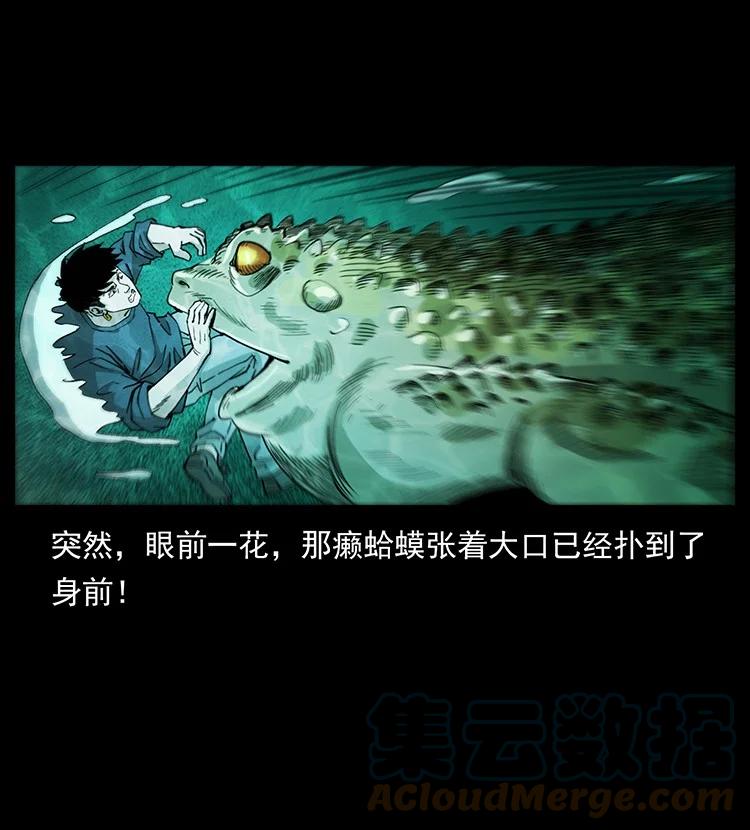 第217页