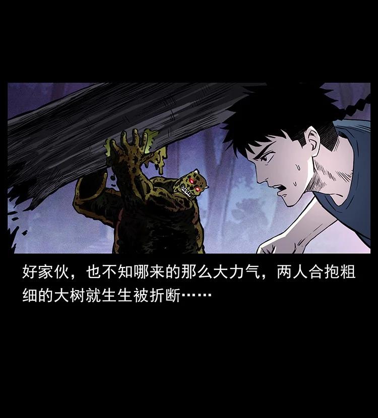 第250页