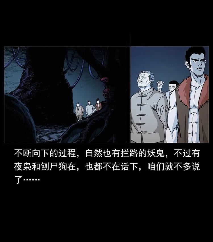 第223页