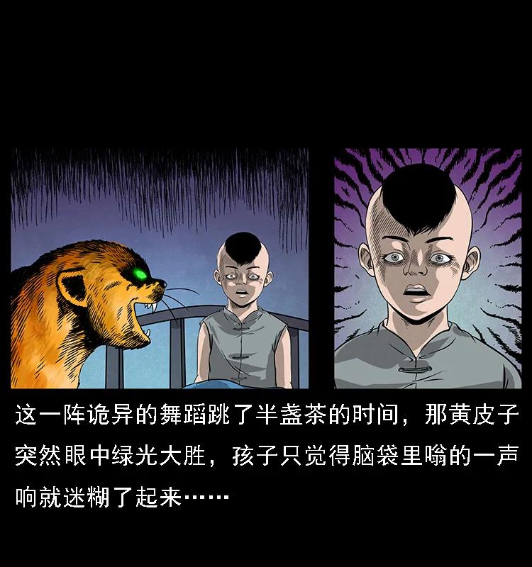 第50页