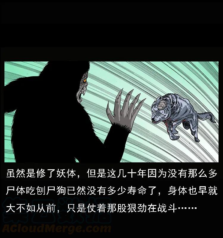 第57页